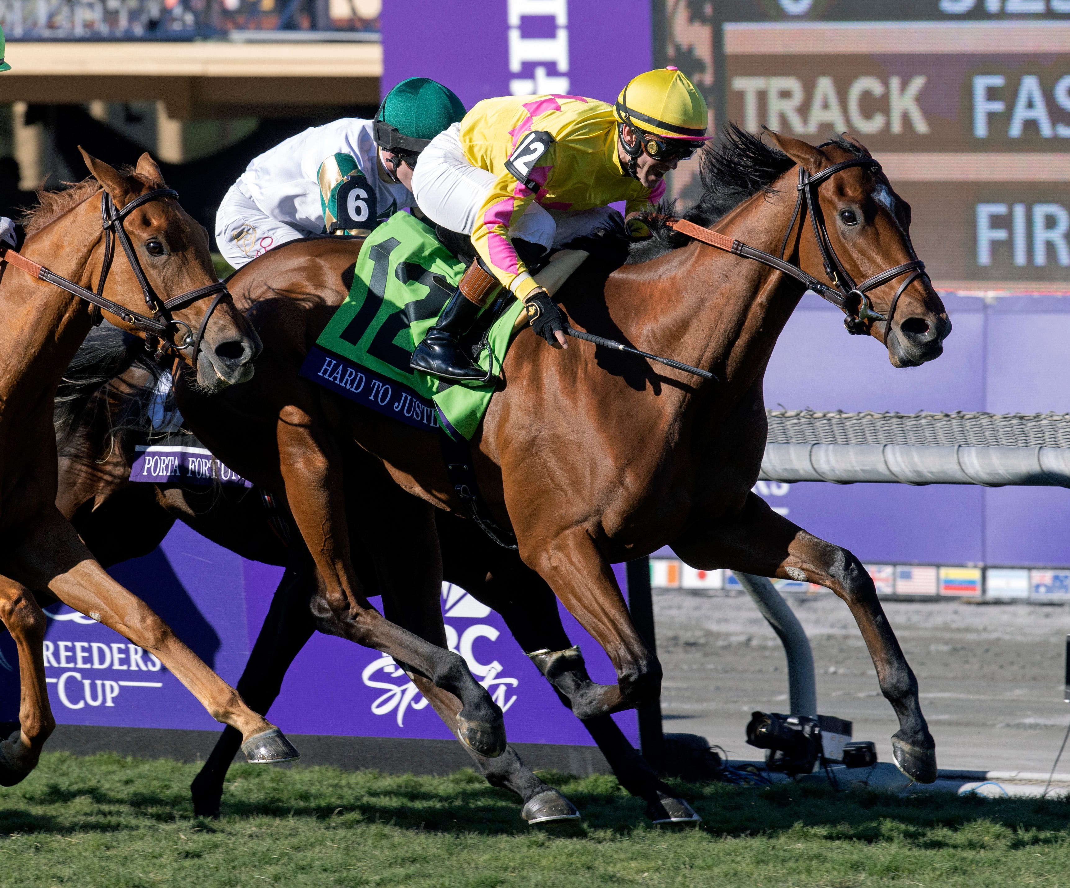 Breeders' Cup winner Hard to Justify makes highly anticipated return in